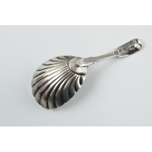 298 - Georgian hallmarked silver caddy spoon, Birmingham 1806, in the form of a shell, 13.3 grams, 9cm lon... 