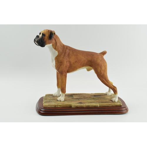 100 - Border Fine Arts Margaret Turner standing boxer dog, on wooden base, 31cm long.