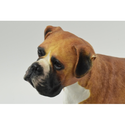 100 - Border Fine Arts Margaret Turner standing boxer dog, on wooden base, 31cm long.