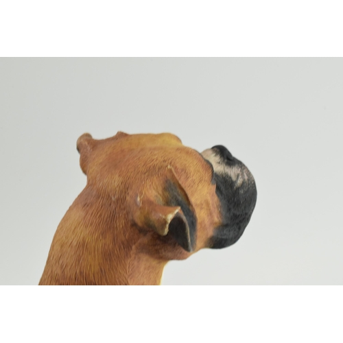 100 - Border Fine Arts Margaret Turner standing boxer dog, on wooden base, 31cm long.