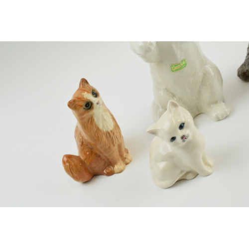 105 - Beswick cats to include cat with bandage, a white persian kitten, a ginger cat and a playful kitten ... 