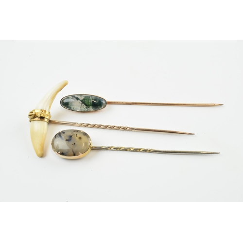 405 - A trio of stick pins to include a tooth, set in 18ct gold belt clasp with 9ct gold pin, a grey moss ... 