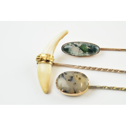 405 - A trio of stick pins to include a tooth, set in 18ct gold belt clasp with 9ct gold pin, a grey moss ... 