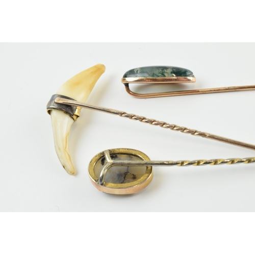 405 - A trio of stick pins to include a tooth, set in 18ct gold belt clasp with 9ct gold pin, a grey moss ... 