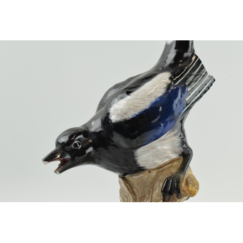 71 - 20th century Dresden pottery figure of a Magpie, inspired by 18th century Meissen figures, with dama... 