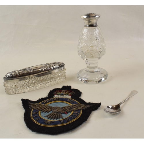 206 - A mixed collection of items to include cut glass with silver top. Silver spoon and an RAF (Royal Air... 