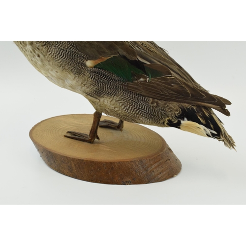 344 - Vintage French taxidermy model of a duck, mounted onto a wooden base, 23cm tall.