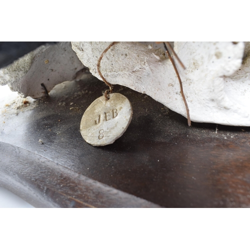 280 - Mounted buffalo head and horns on original shield dating from the early part of the 20th century. Im... 