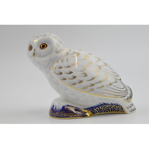 41 - Royal Crown Derby Paperweight in the form of a Snowy Owl, first quality with gold stopper.