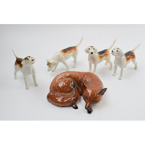 62 - Beswick foxhounds with a lying fox 1017 (5) (fox af).