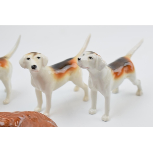 62 - Beswick foxhounds with a lying fox 1017 (5) (fox af).