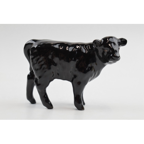 64 - Beswick Aberdeen Angus calf (minor nip to hoof).