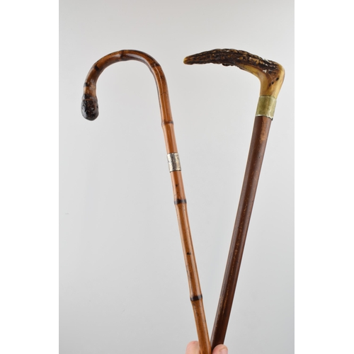 398 - Pair of early walking canes. One with antler horn handle  and original feral, one bent bamboo with w... 