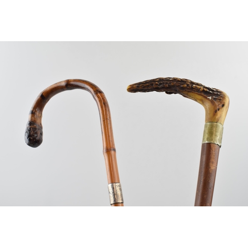 398 - Pair of early walking canes. One with antler horn handle  and original feral, one bent bamboo with w... 