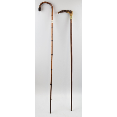 398 - Pair of early walking canes. One with antler horn handle  and original feral, one bent bamboo with w... 