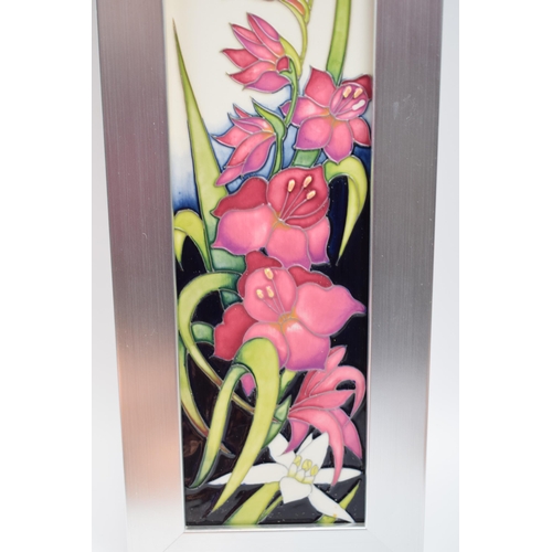 85B - Moorcroft framed plaque in the Gladiolus pattern, by Nicola Slaney, red dot mark, 46cm inc. frame.