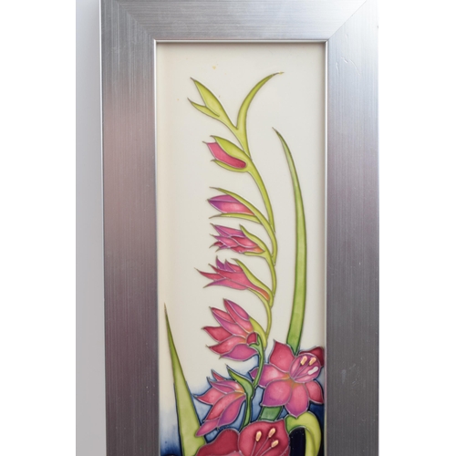 85B - Moorcroft framed plaque in the Gladiolus pattern, by Nicola Slaney, red dot mark, 46cm inc. frame.