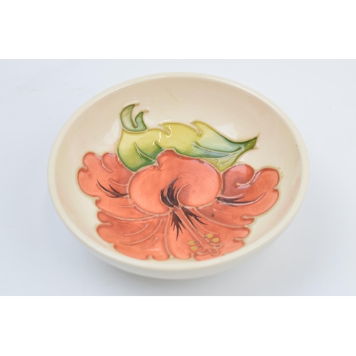 87F - Moorcroft shallow dish with Hibiscus on magnolia, 11.5cm diameter (minor chip).