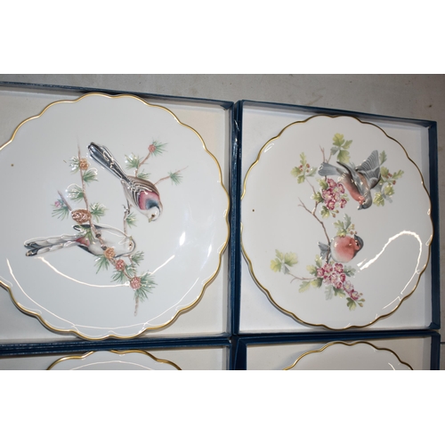 146 - A set of 8 boxed Royal Worcester 'The Birds of Dorothy Doughty' plates, limited edition of 7500, wit... 