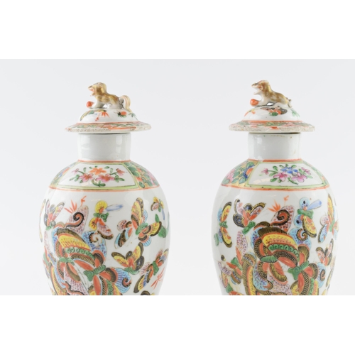 173 - Pair of Chinese 19th Century Canton Hand Painted Porcelain 23cm Vases with Foo Dog Finial (2).