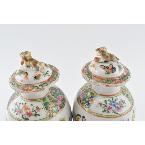 173 - Pair of Chinese 19th Century Canton Hand Painted Porcelain 23cm Vases with Foo Dog Finial (2).