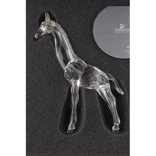 190 - Boxed Swarovski baby giraffe with certificate, 14cm tall.