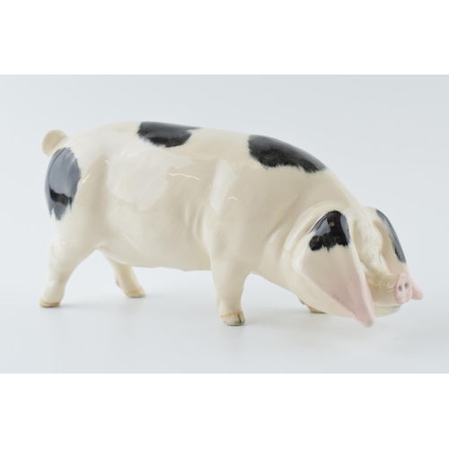 54 - Beswick Gloucestershire Old Spot Pig 4116.