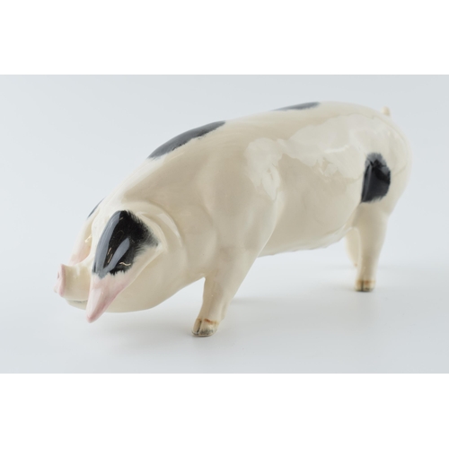 54 - Beswick Gloucestershire Old Spot Pig 4116.