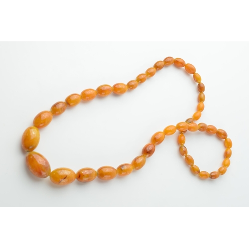 559 - A graduated set of amber style beads, circa 45+ grams, circa 70cm long (end to end).