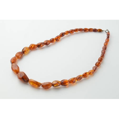 560 - A graduated set of baltic amber (or similar) beads as a necklace with white metal clasp, circa 29 gr... 