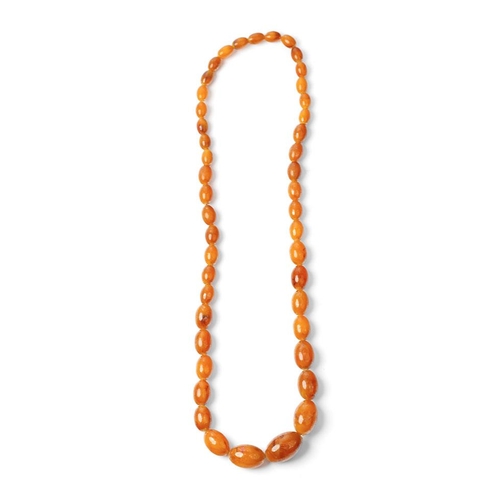 559 - A graduated set of amber style beads, circa 45+ grams, circa 70cm long (end to end).