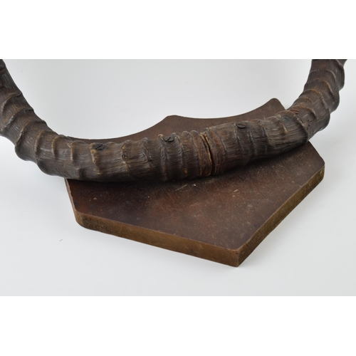 279 - A set of 20th century Belgian congo mounted pair of horns / antlers on wooden shield, 82cm wide.