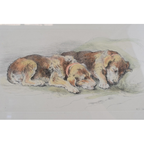 260 - Herbert Dicksee etching 'Recumbent Puppies' signed artist proof: Airdale Terrier Puppies Measuring 2... 