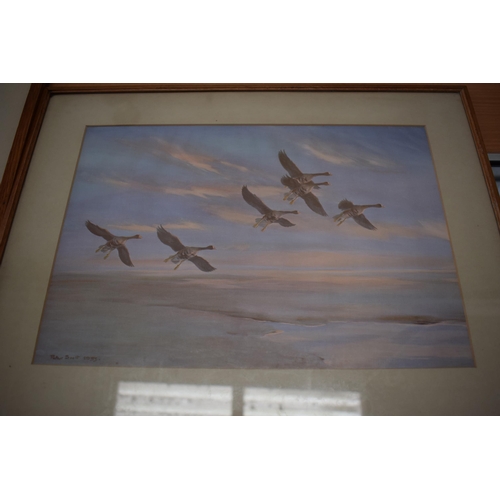 270 - A framed collection of Peter Scott bird scene prints of varying locations and years, size of images ... 