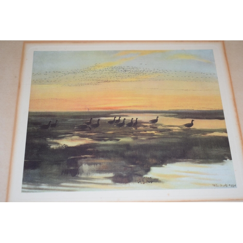 270 - A framed collection of Peter Scott bird scene prints of varying locations and years, size of images ... 