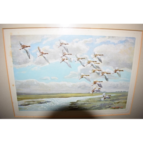 270 - A framed collection of Peter Scott bird scene prints of varying locations and years, size of images ... 