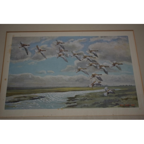 270 - A framed collection of Peter Scott bird scene prints of varying locations and years, size of images ... 