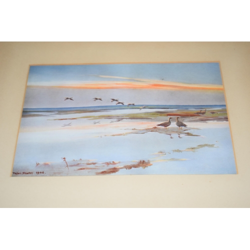 270 - A framed collection of Peter Scott bird scene prints of varying locations and years, size of images ... 