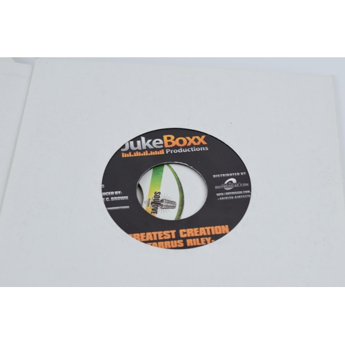 205 - A good collection of vinyl records in the genres reggae, ska, dub and dancehall 7