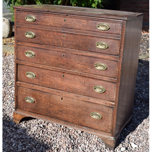 220 - Georgian oak secretaire / chest of drawers with ornate brass handles, 99x55x104cm tall.