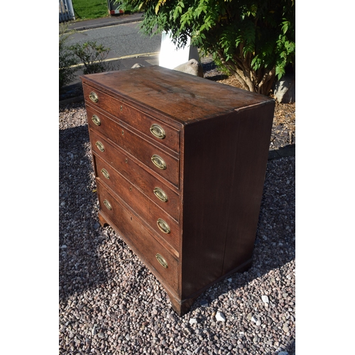 220 - Georgian oak secretaire / chest of drawers with ornate brass handles, 99x55x104cm tall.