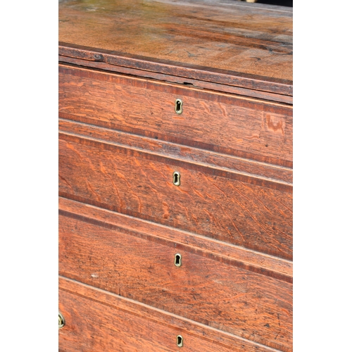 220 - Georgian oak secretaire / chest of drawers with ornate brass handles, 99x55x104cm tall.