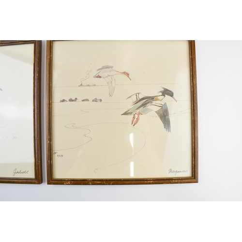 529 - Pair of early 20th century prints of Mergansers ducks and a Gadwell duck. 31cm x 31cm including fram... 