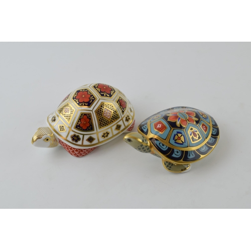 10 - Two Royal Crown Derby paperweights, Turtle in the Old Imari 1128 pattern, date mark for 1990 (LIII),... 