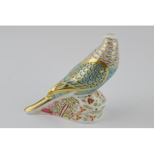 14 - Royal Crown Derby paperweight, Sky Blue Budgerigar, 11cm, exclusive for the Dewesbury Group, this is... 