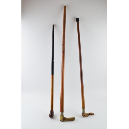 345 - A trio of vintage walking sticks with varying heads to include a lurcher, a horn example and a knob ... 