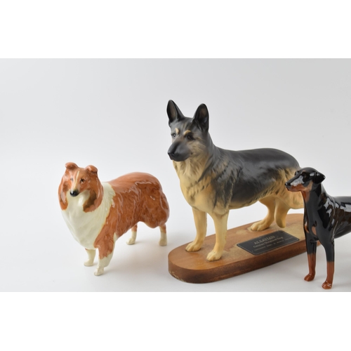 62 - Beswick dogs to include a doberman, a rough collie, a matte rough collie and a connoisseur Alsatian ... 