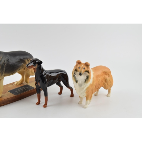 62 - Beswick dogs to include a doberman, a rough collie, a matte rough collie and a connoisseur Alsatian ... 