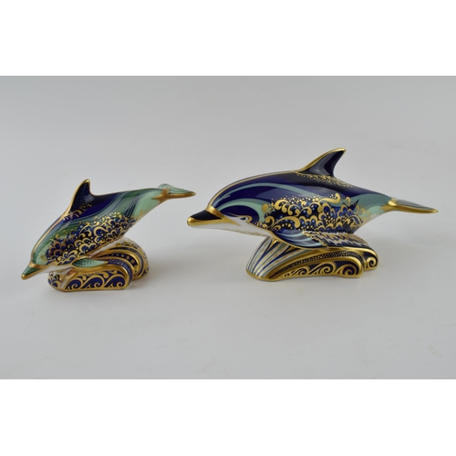 7 - A Royal Crown Derby paperweight, Bottlenose Dolphin and Baby Bottlenose Dolphin (a/f), decorated in ... 