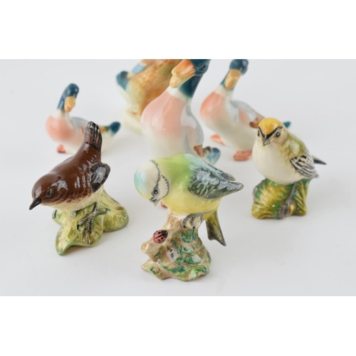 85 - Beswick birds to include set of 3 comical ducks, 756-2 mallard, with a glodcrest, a bluetit and a wr... 